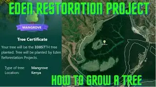 How to grow a Microsoft E Tree faster (Eden Restoration Project)