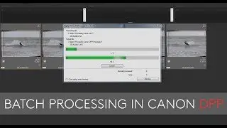 Batch Processing in Canon's DPP Editing Software