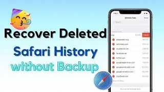 [2 ways]How to Recover Deleted Safari History without Backup | iPhone Recovery