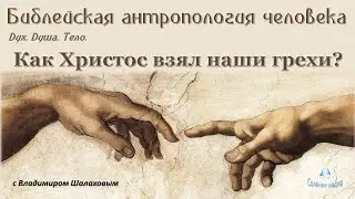 Как Христос взял на Себя наши грехи  Библейская антропология #10 (25.02.2023)