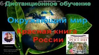 Урок по окружающему миру  
