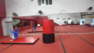 2 mts en salto de tigre