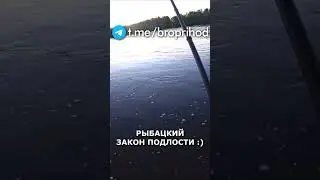 Закон подлости рыбака) #рыбалка #fishing #рыба #река #лето #братьяПриходько #удочка #хариус