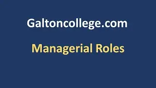 Managerial Roles