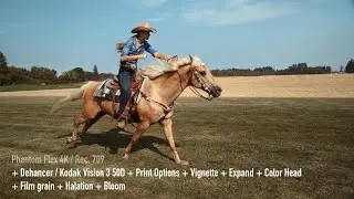 Phantom Flex 4K + Dehancer: Color grading example with Kodak Vision 3 50D film emulation profile