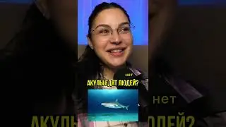 Вопросы обо всем вместе с @kino_pes #топ5 #угадай #интересно