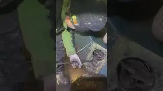 Рабочие будни сервисной службы по сельскохозяйственному оборудованию