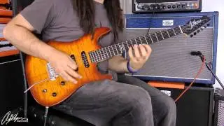 Chapman ML-1 Overview & Specification