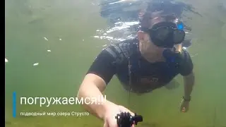 Путешествие: подводный мир оз.Струсто, Браславские озера, мелководье, видимость 5+, рыба |VLOG°12/21