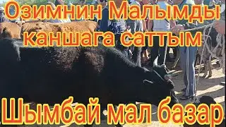 Шымбай мал базар.12.06.2022. Скотный рынок. мал базар 2022. Mal bazar 2022. Shimbay mal bazar