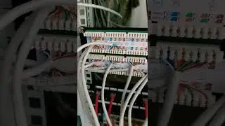 Расшиваю витую пару в патч панель 48 портов Aruba
