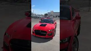 Shelby GT500 Rolling! 🏎️
