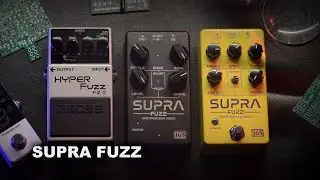 Знакомство с Supra Fuzz