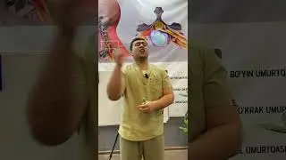 Grija nimadan paydo bo’ladi?