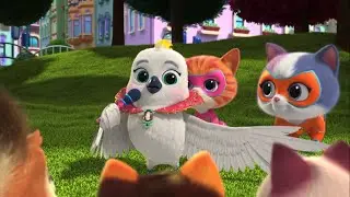 Zsa-Zsa’s Music Video | Clip | SuperKitties