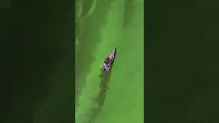 На рыбалочке 🎣 