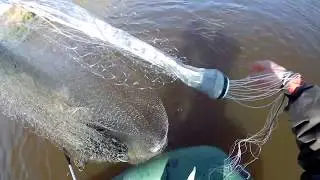 Лучшая рыбалка КАСТИНГОВОЙ сетью с ЛОДКИ!!!Сазан и Щука на омуте!!!