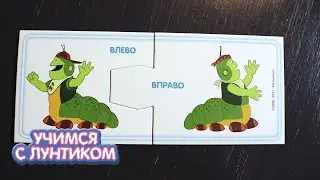 Учимся с Лунтиком | Логика | Сборник новых серий для детей