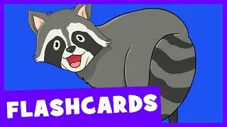 Forest Animals | Talking Flashcards