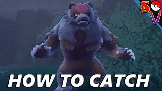 How to Catch Bloodmoon Ursaluna in Pokémon Scarlet and Violet The Teal Mask