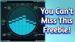 This Awesome Metering VST Plugin Is 100% FREE (Limited Time) - LEVELS by Mastering The Mix