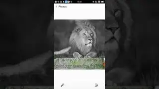 Android Studio Demo | GridView Share Image [some UI update] SQLite database share image