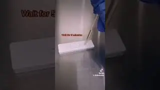 Live pregnancy test 