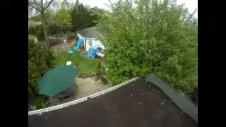 killing the easter bunny