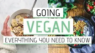 VEGANISM FOR BEGINNERS » How to go vegan // Complete guide