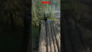 The Logging struggle........