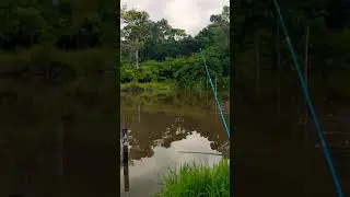 spot mancing yang asik. dan asri 