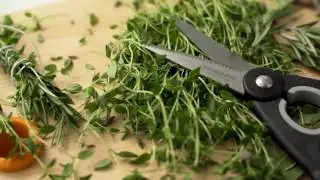 Fiskars Kitchen Shears