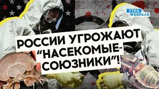 ❗️Чиновники в СТРАХЕ: им угрожают АМЕРИКАНСКИЕ комары