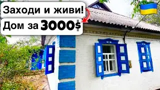 🇺🇦 Заходи и живи! Дом в селе за 3000$ Продажа недвижимости за копейки! Всё есть Уютное тихое село!