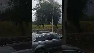 Виноградники посреди города Сантьяго.  Район Макуль Альто. Чили.