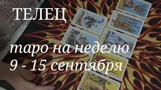 ТЕЛЕЦ ТАРО расклад на неделю с 9 по 15 сентября 2024 года.
