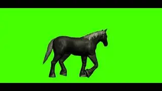Green Screen Black Horse Walking | Green Screen Cartoon Horse | 