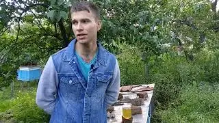 Золотой Мед! Цена в розницу в 2021году по всей Украине!