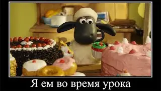 Муд Барашек Шон демотиватор (Шон-Беглец)