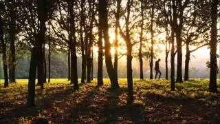 Tom Jones - Green Green Grass of Home (Lyrics)