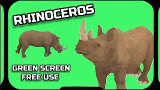 RHINO video animation GREEN SCREEN. Footage on the green screen.