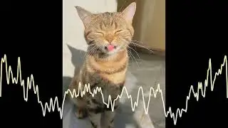 Marshmello x Brent Faiyaz - Fell In Love Speed Up