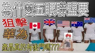 為什麼五眼聯盟要狙擊華為，華為產品真的有後門嗎??? feat. ISDA協會理事長Steve