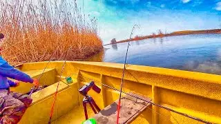 ЕДВА ЗАКИНУЛИ И ОНИ ПРИШЛИ! Первый СОМ на закидушку! Весенняя рыбалка на САЗАНА!