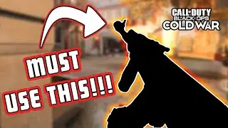 The BEST AK-47 Class Setup! | Call of Duty Black Ops Cold War