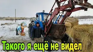 Купили сено / трактор вездеход мтз 50 🙄