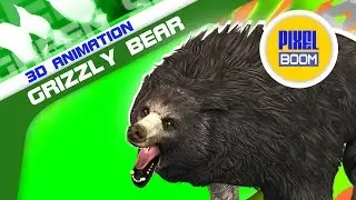 Green Screen Grizzly BEAR Roar Attack Dead - Footage PixelBoom