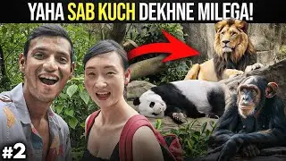 Fun At Singapore Zoo & Night Safari 🇸🇬 | Singapore Travel Guide | Indian in Singapore