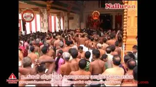 Thamizh Paadum song | தமிழ் பாடும் பாடல் | முருகன் பாடல் | Murugan Padal