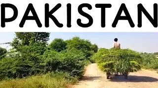 🇵🇰 Rural Pakistan Roads | Watch Till The End My Story 🙏🙏🙏